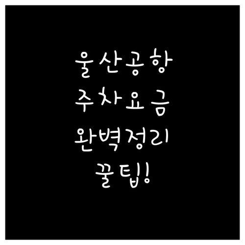 울산공항 주차장 위치 및 요금 체계 ..