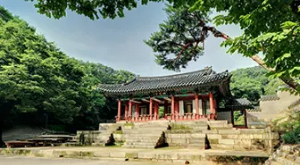 창덕궁 후원