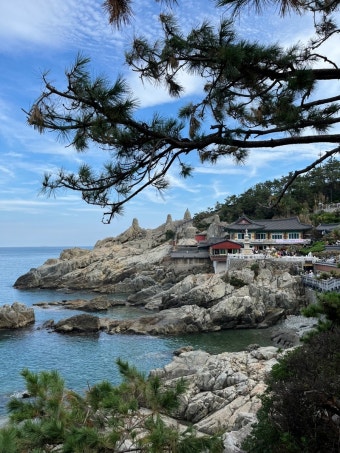 2025 부산온나청년패스 신청방법 및 할인혜택 총정리