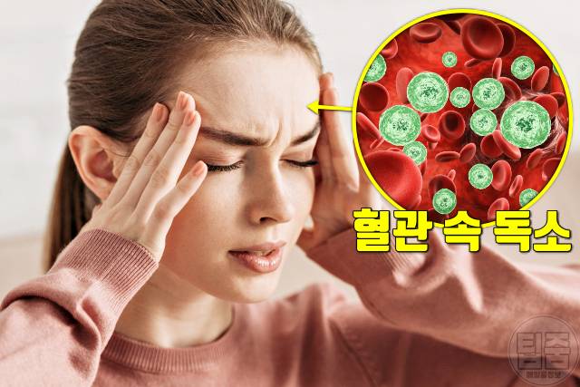 몸속 독소 배출 몸독소증상 두통