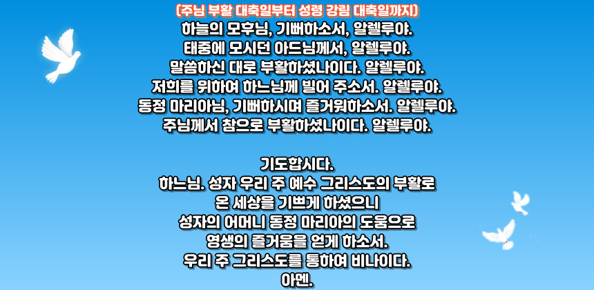 가톨릭 부활 삼종 기도