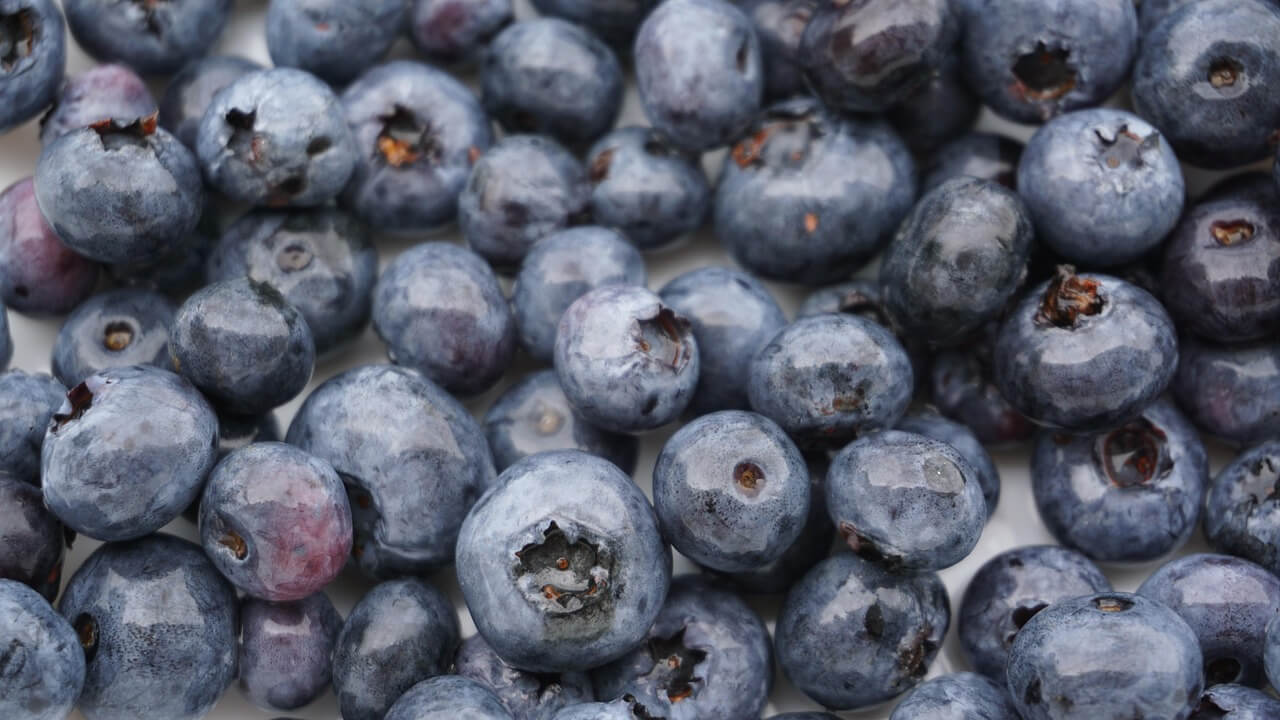 비타민D 부족증상