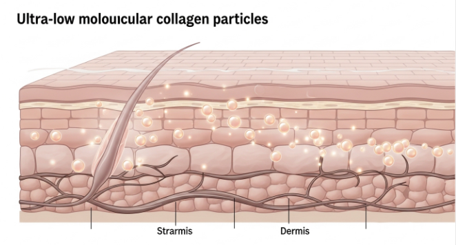 초저분자-어린-콜라겐-효능-추천-부작용-복용법