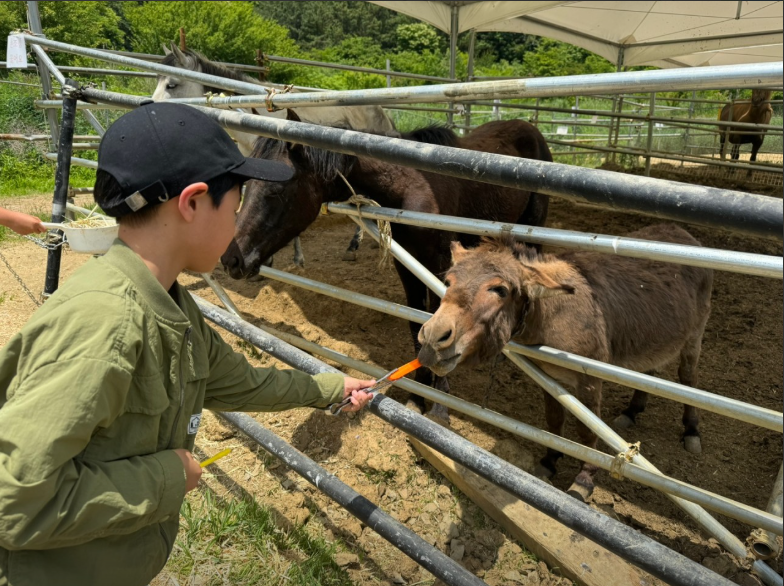 생방송오늘아침 이색체험카페 공룡타조랜드 경남 고성 가격 정보