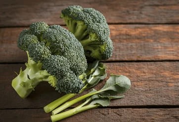 골반괴사/ 뼈 건강을 위한 영양소 / 골반괴사에 좋은 음식