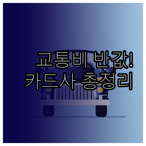 모두의 카드 교통비 할인 혜택 카드사..