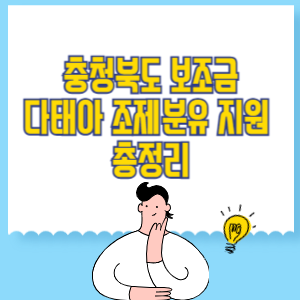 충북 다태아 조제분유 지원 총정리