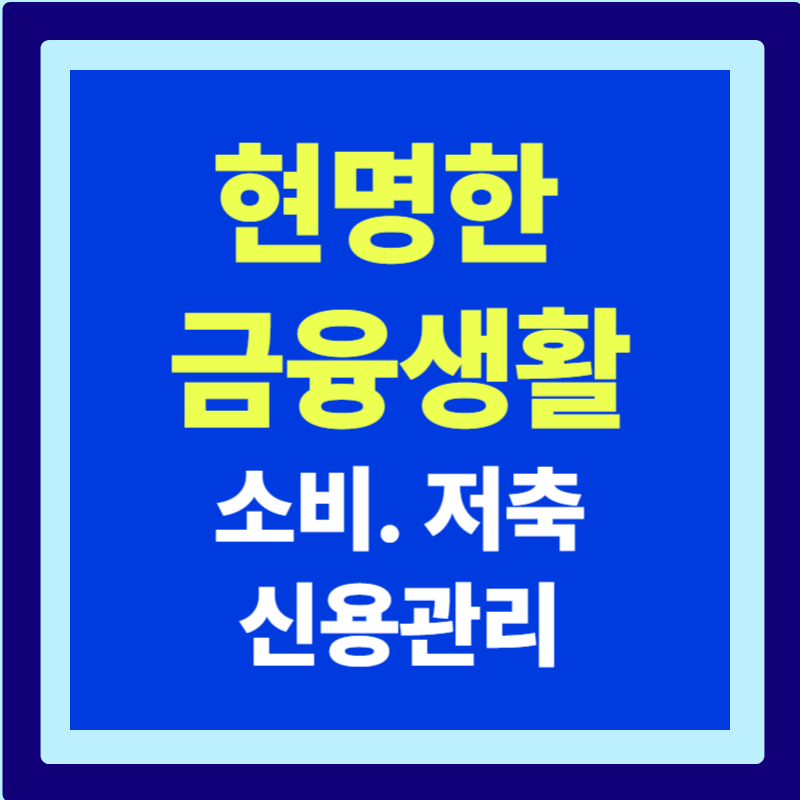 현명한 금융생활 가이드 : 소비·저축·신용관리까지 한 번에 정리