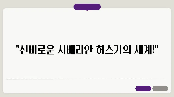 장엄한 시베리안 허스키 공개 : 종합 가이드