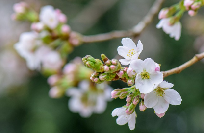 춘분이란 무엇일까요?