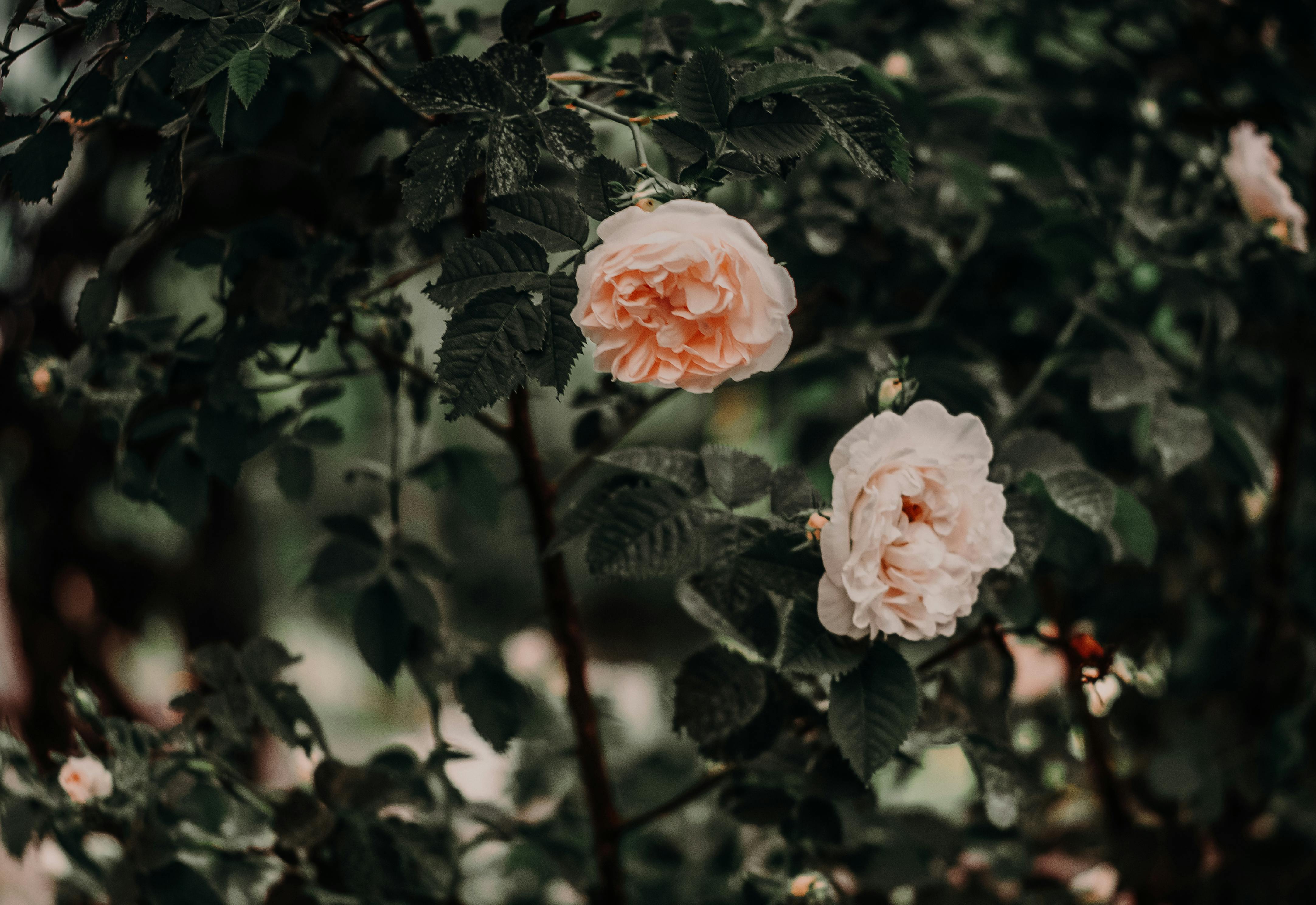 무자일 9월 16일 띠별 운세 대박 조심해야 할 띠