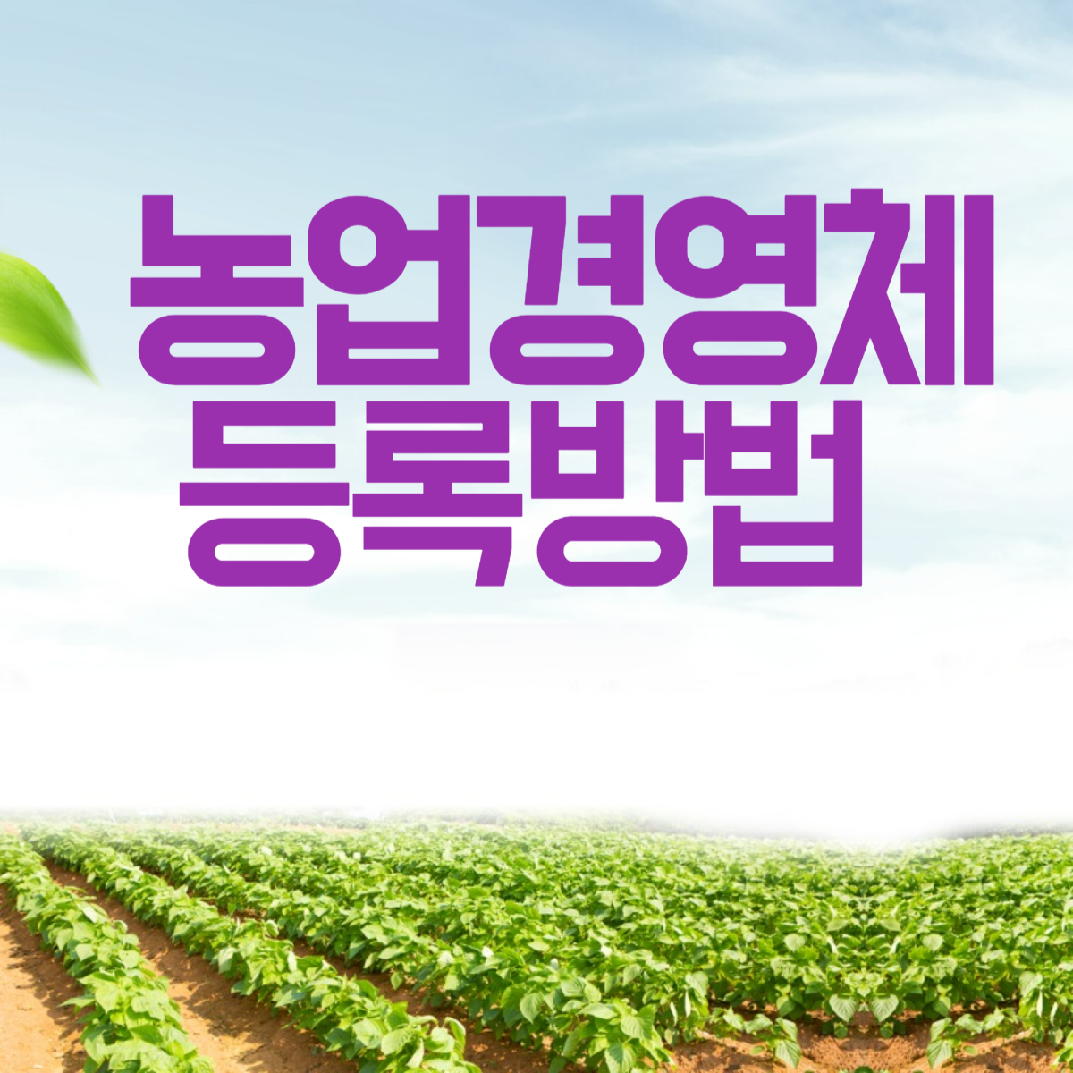 농업경영체 등록