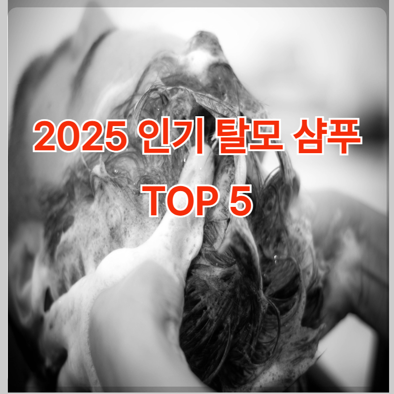 25년 인기 탈모 샴푸 TOP 5