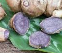 파비플로라 효능 부작용