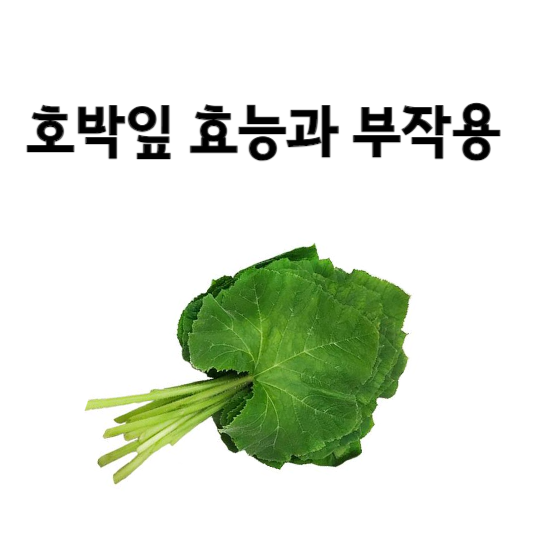 호박잎 효능과 부작용