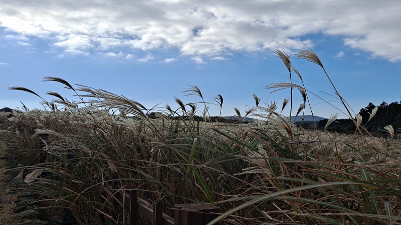 제주여행_산굼부리