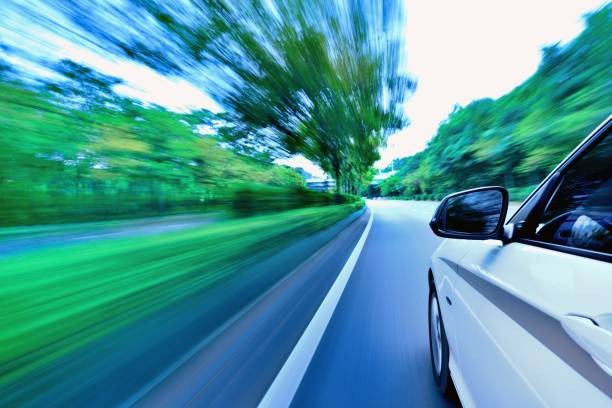 815-광복절-특별사면-운전면허