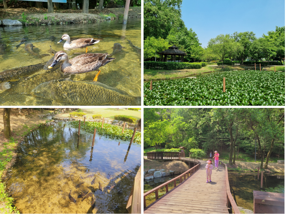 구갈레스피아 생태습지원 산책로