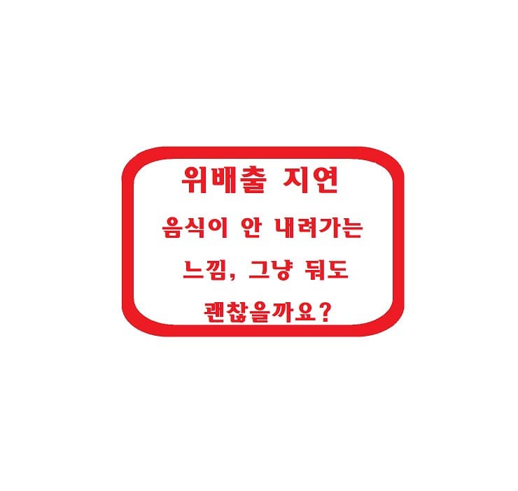 위배출 지연 &ndash; 음식이 안 내려가는 느낌, 그냥 둬도 괜찮을까요?