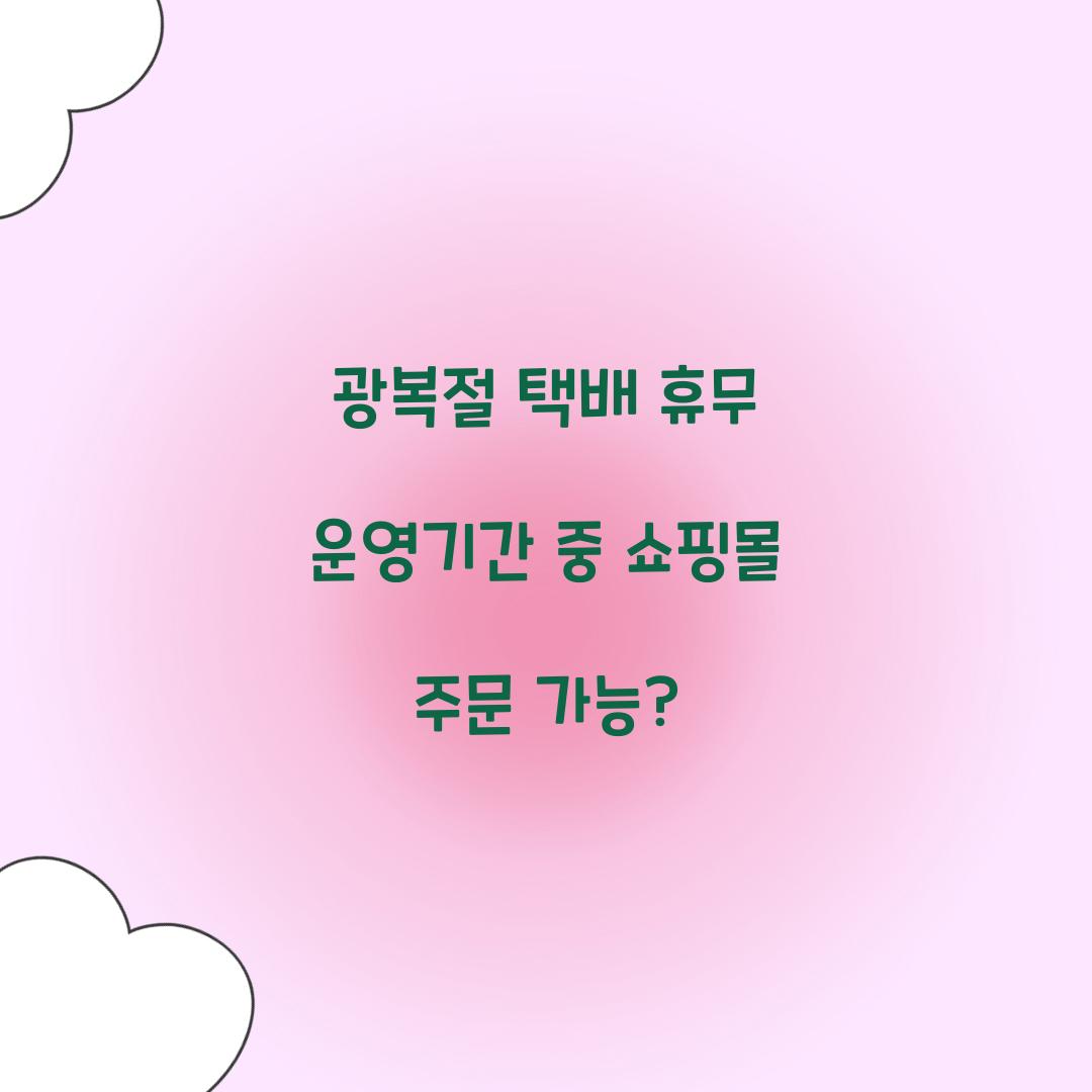 광복절 택배 휴무 운영기간 중 쇼핑몰 주문 가능?
