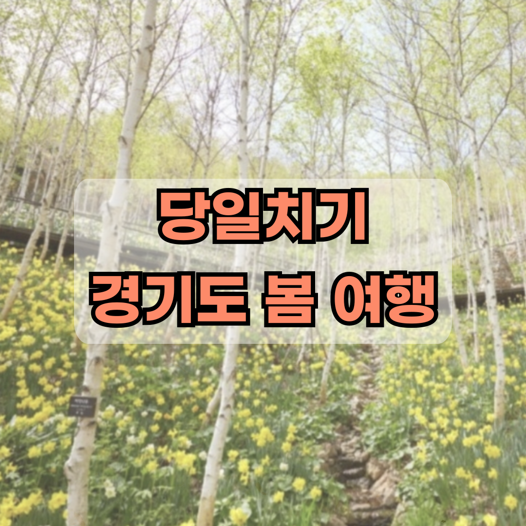 당일치기 경기도 봄 여행