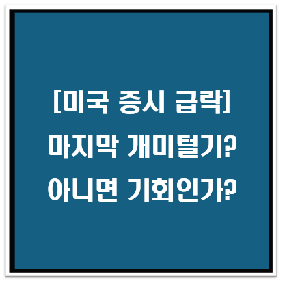 [미국 증시 급락] 마지막 개미털기? 아니면 기회인가?