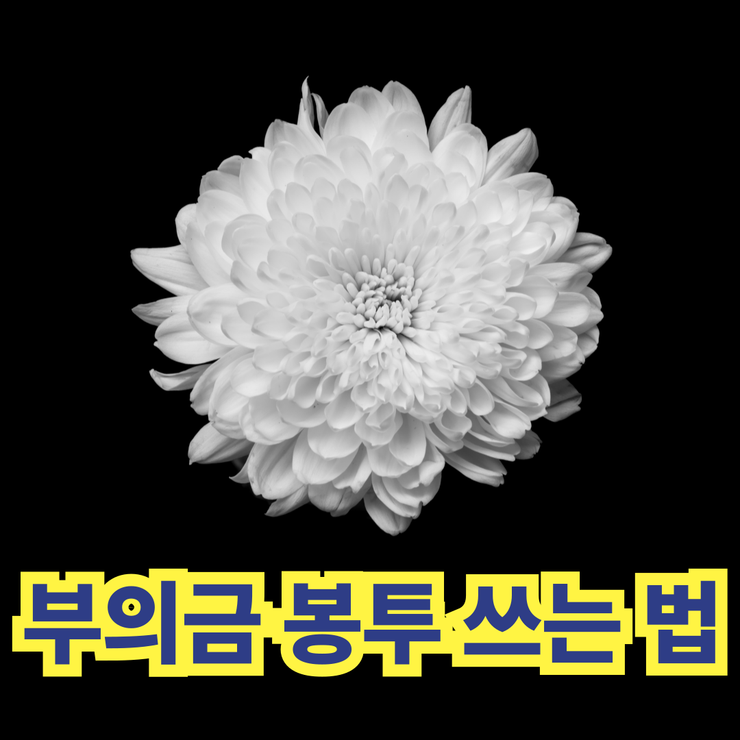 이름 위치 지폐 종류 매수 확인하세요