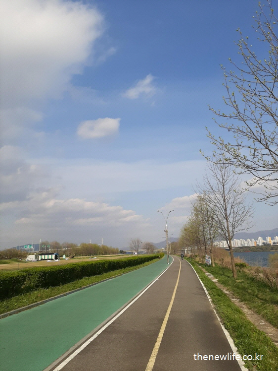 푸른 하늘 아래 이어지는 구리 한강시민공원의 초록색 탄성 포장 길 산책로