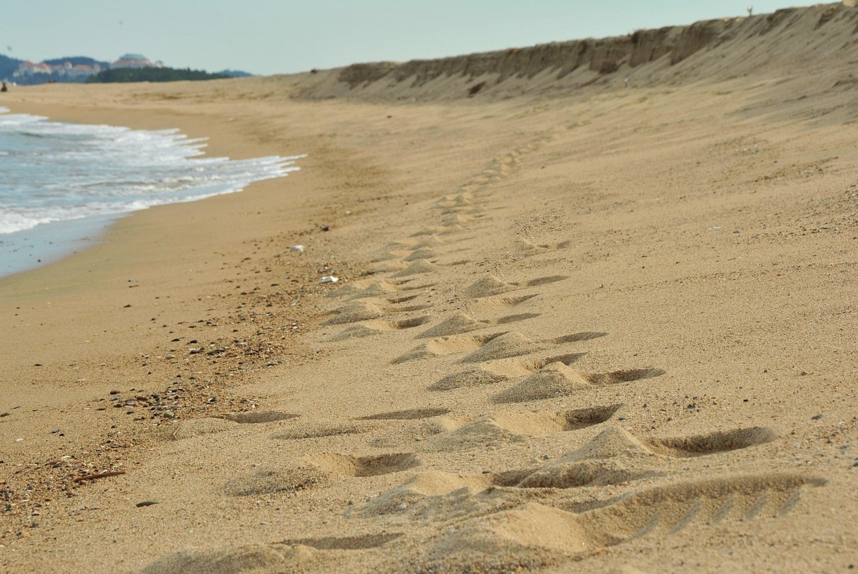 걷기 시작하고 병원 가는 이유가 사라졌습니다