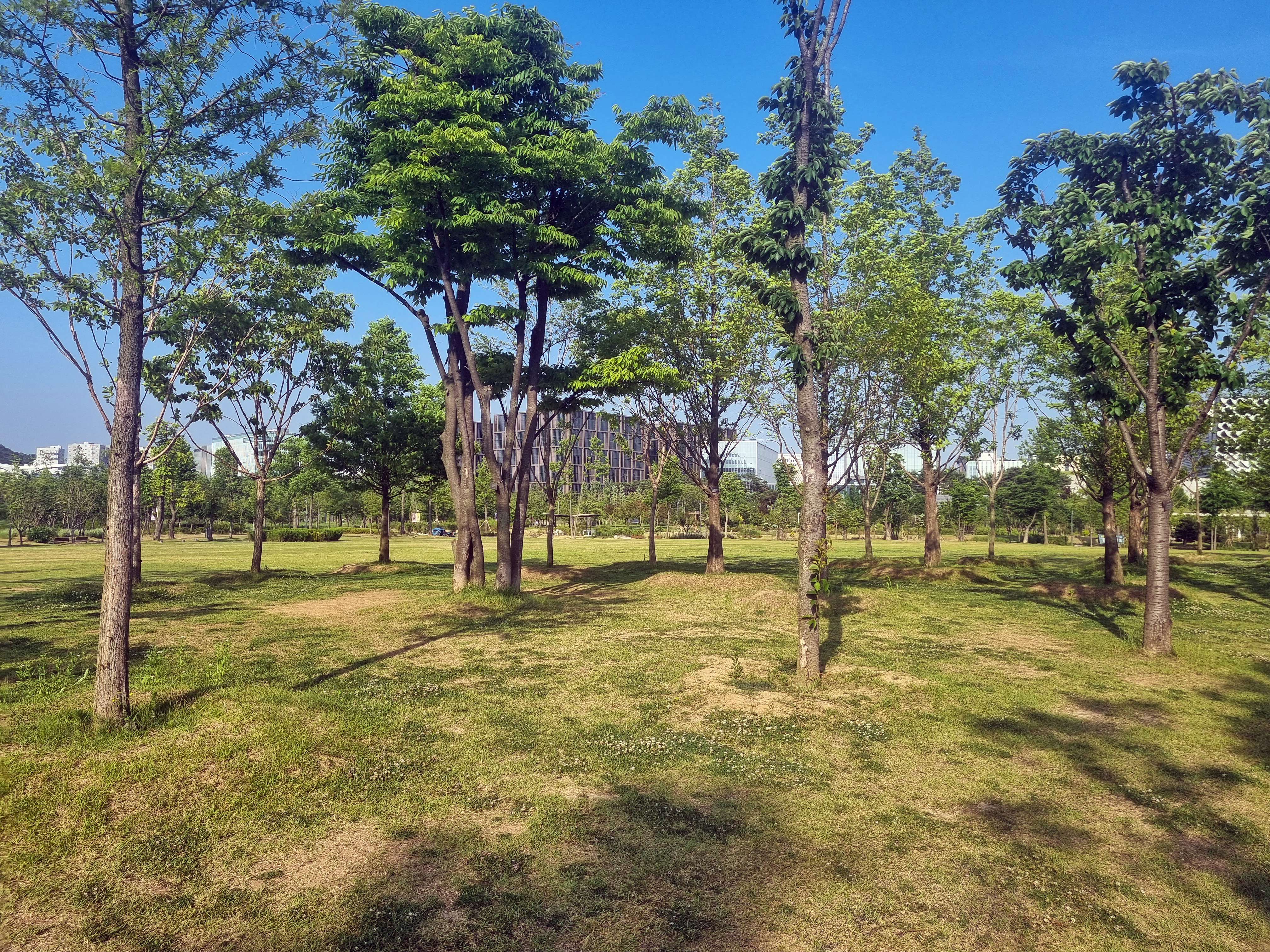 식물원 내부 잔디밭