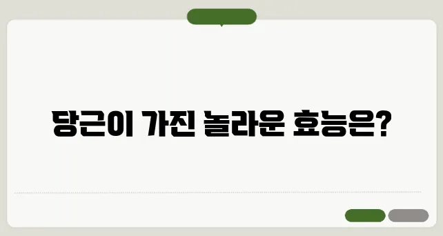 당근효능!? 베타카로틴의 힘 : 당뇨/탈모/피부