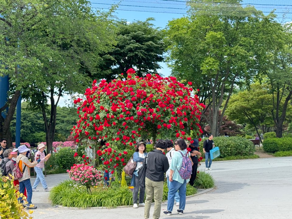 서울대공원
