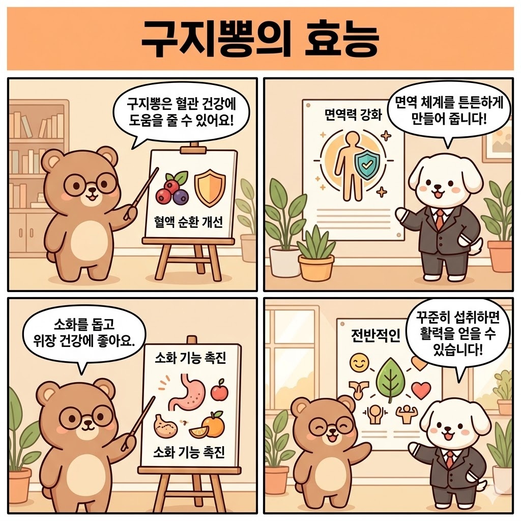 구지뽕의 효능 건강 관리 전 알아야 할 핵심 정보