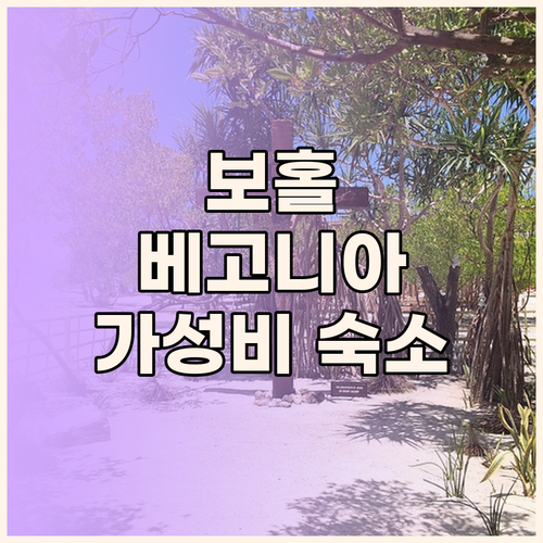 보홀 베고니아 리조트! 가성비 숙소일