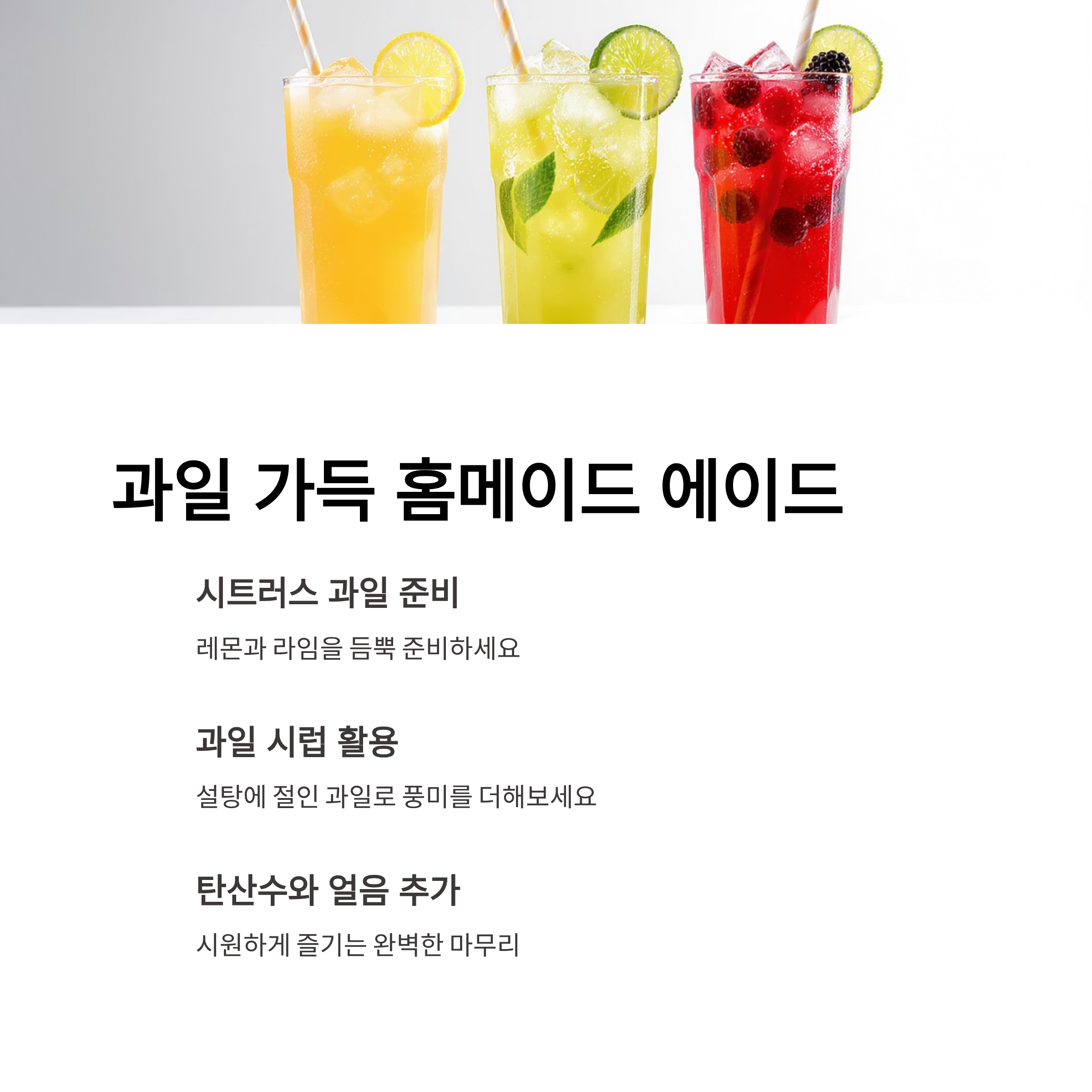 과일 가득 홈메이드 에이드