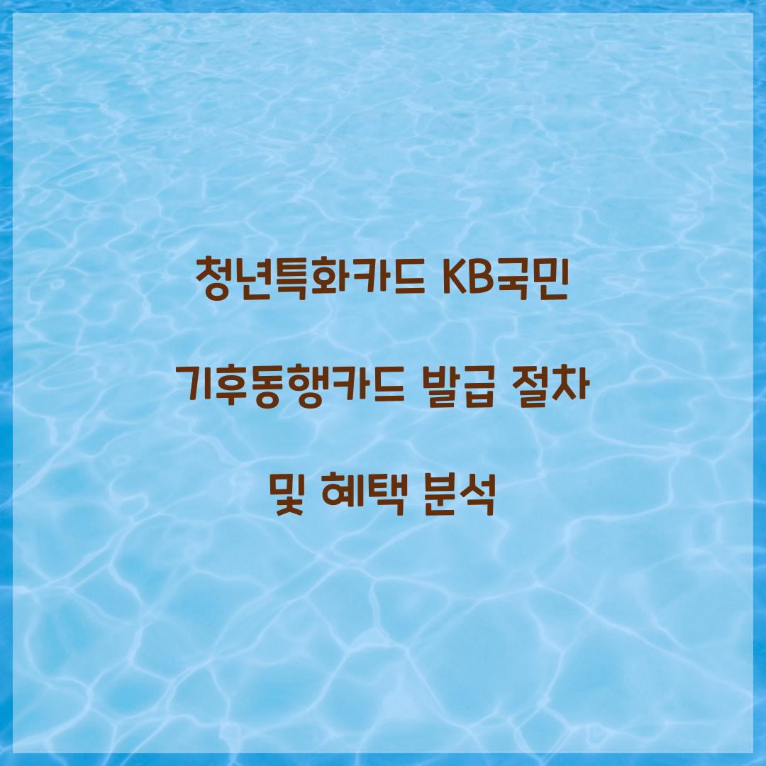 청년특화카드 KB국민 기후동행카드