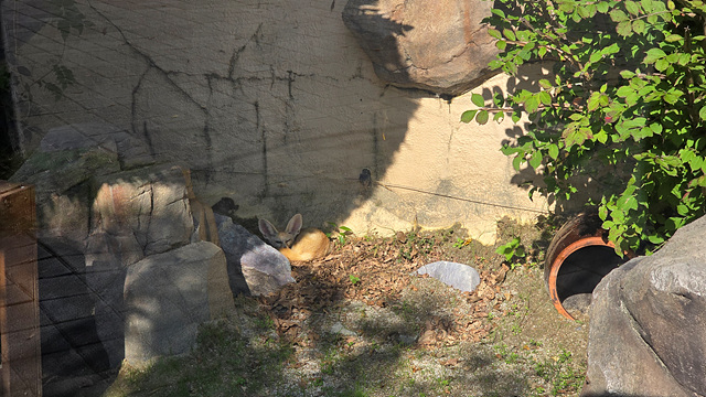 순천만국가정원 어린이 동물원 서문 순천여행 24년 11월 사진
