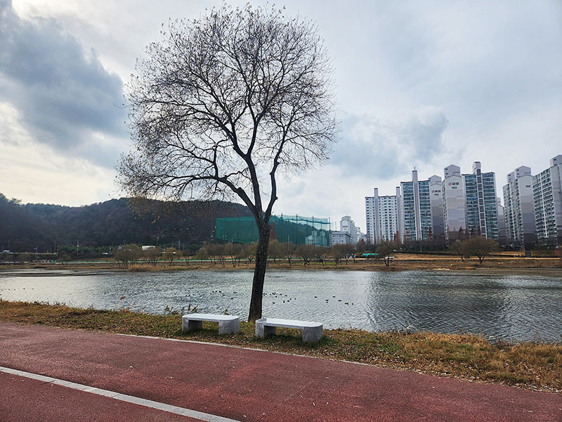 진주시 상평파크골프장. 경상남도 진주시 상평동 278-6 (무림페이퍼 앞 남강둔치)