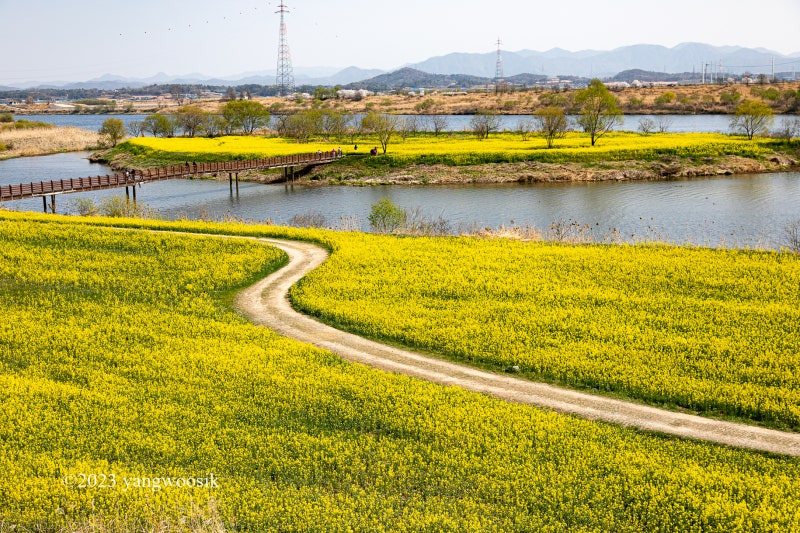 나주 영산포파크골프장. 전남 나주시 삼영동 131-1 18(영산강체육공원 내)