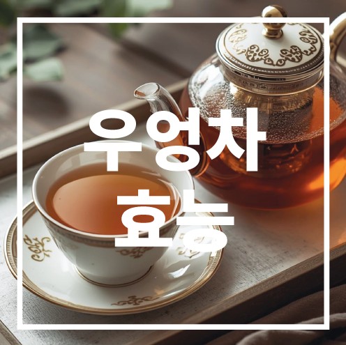 우엉차 효능