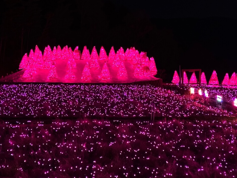 설연휴 국내 여행지 추천 - 포천 허브아일랜드