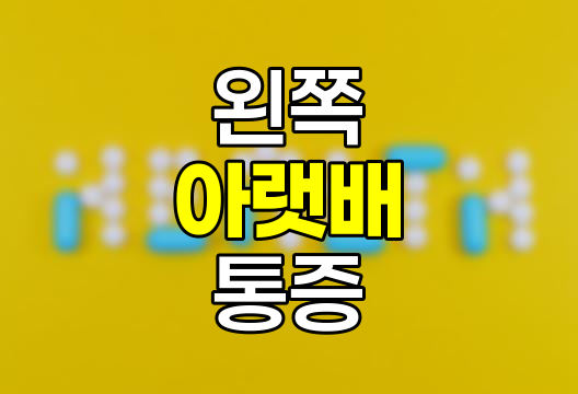 왼쪽 아랫배 통증 원인 상세 분석, 남녀별 주요 질환 및 증상 관련 정보