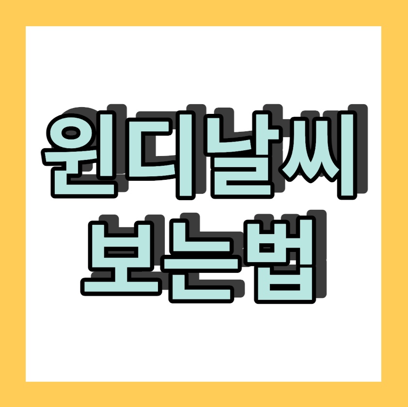 윈디날씨 &lt;윈디날씨보는법&gt;