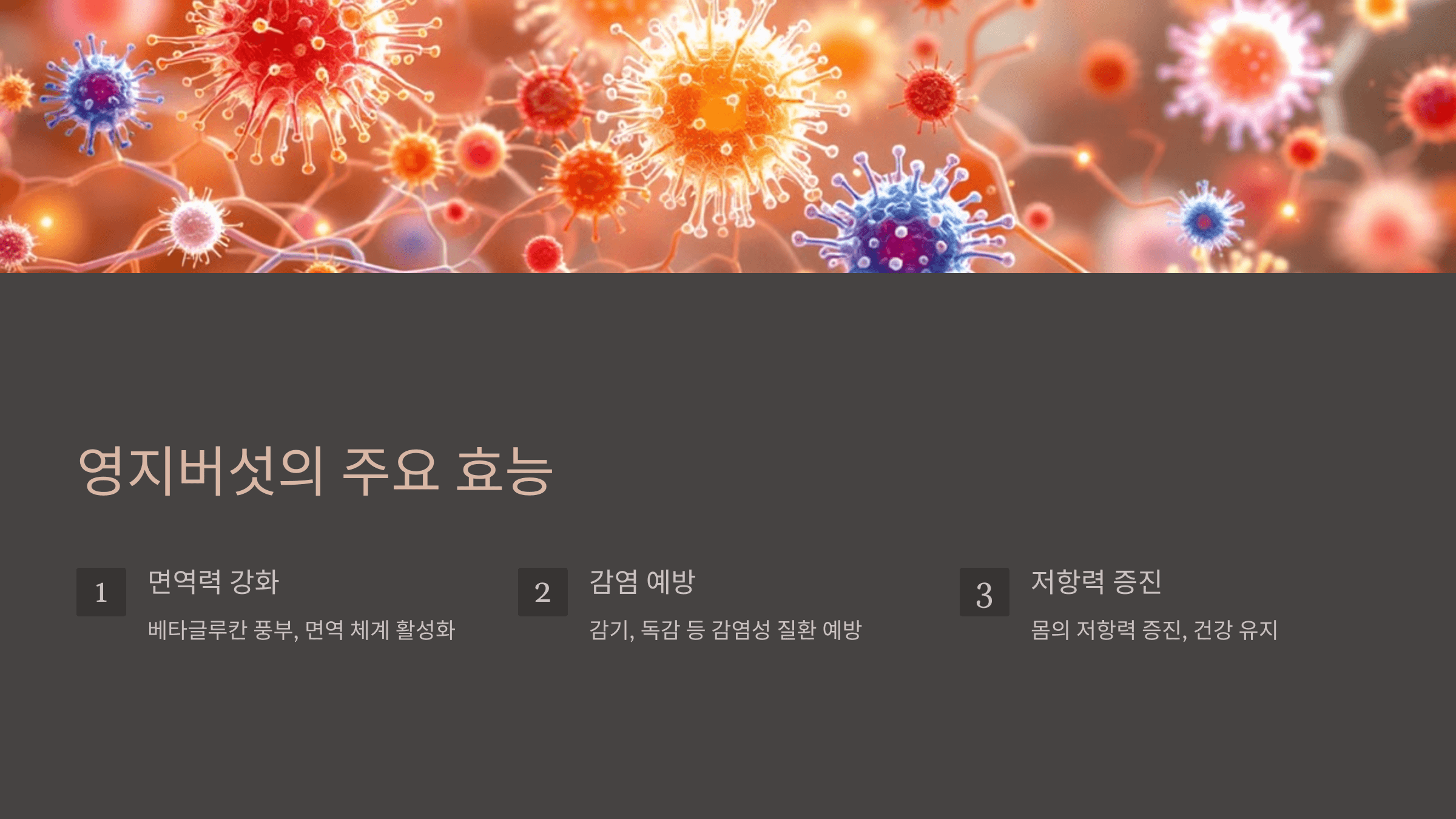 영지버섯 사진입니다.