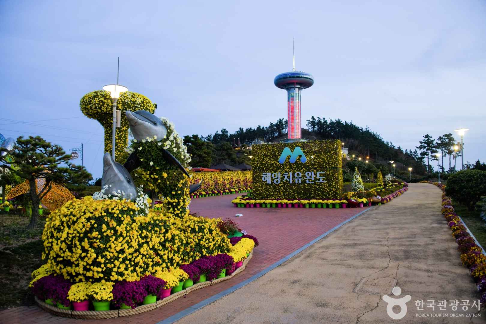 완도타워 전망대 야경