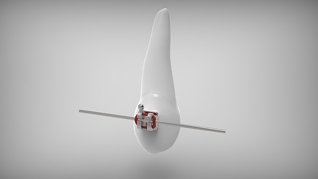 하루 2번 양치질로 충분할까? 치과의사가 말하는 올바른 치아 관리법