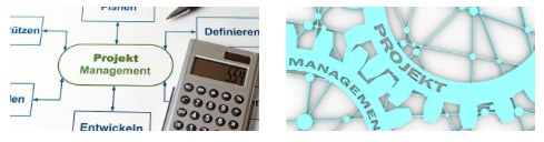 project management