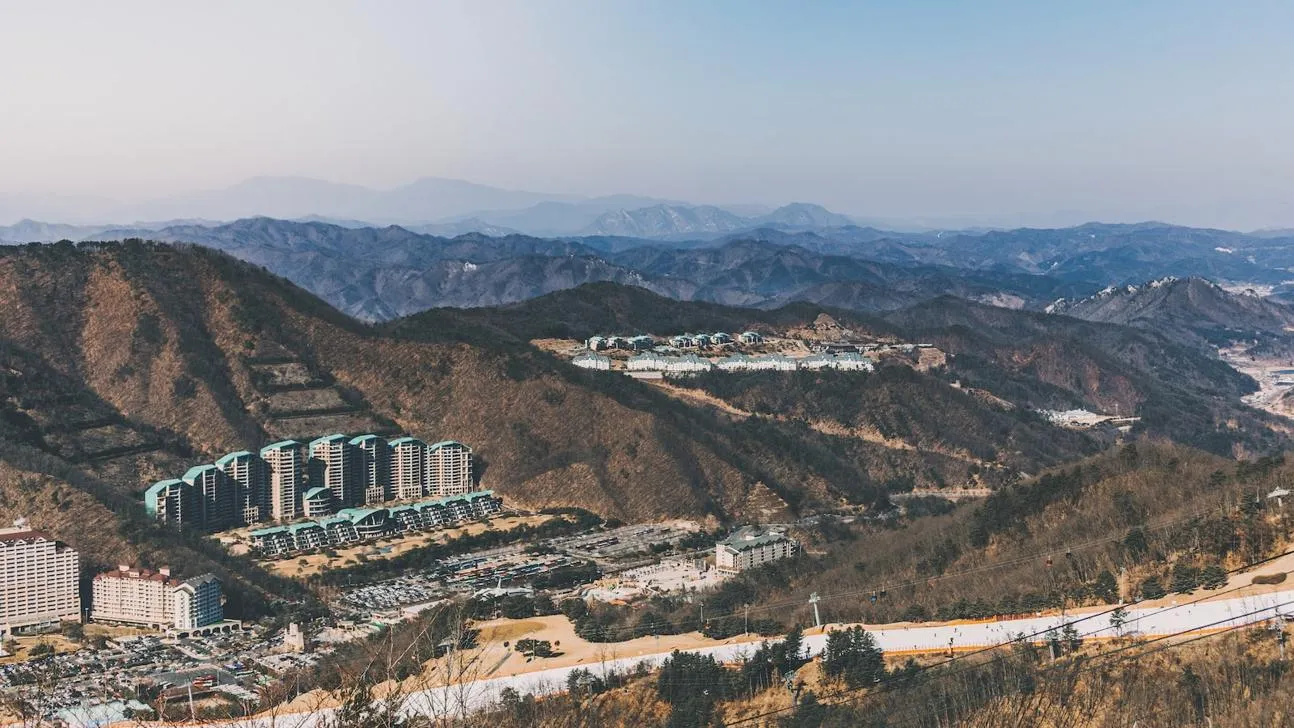 감기에 좋은 음식