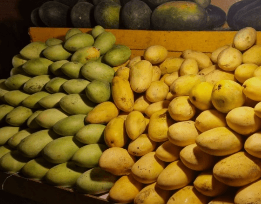 세부 여행 제이파크 여행 1탄