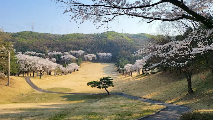 용인 골드 컨트리클럽 소개 및 이용방법